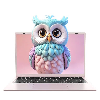 Laptop (thin and light business book)