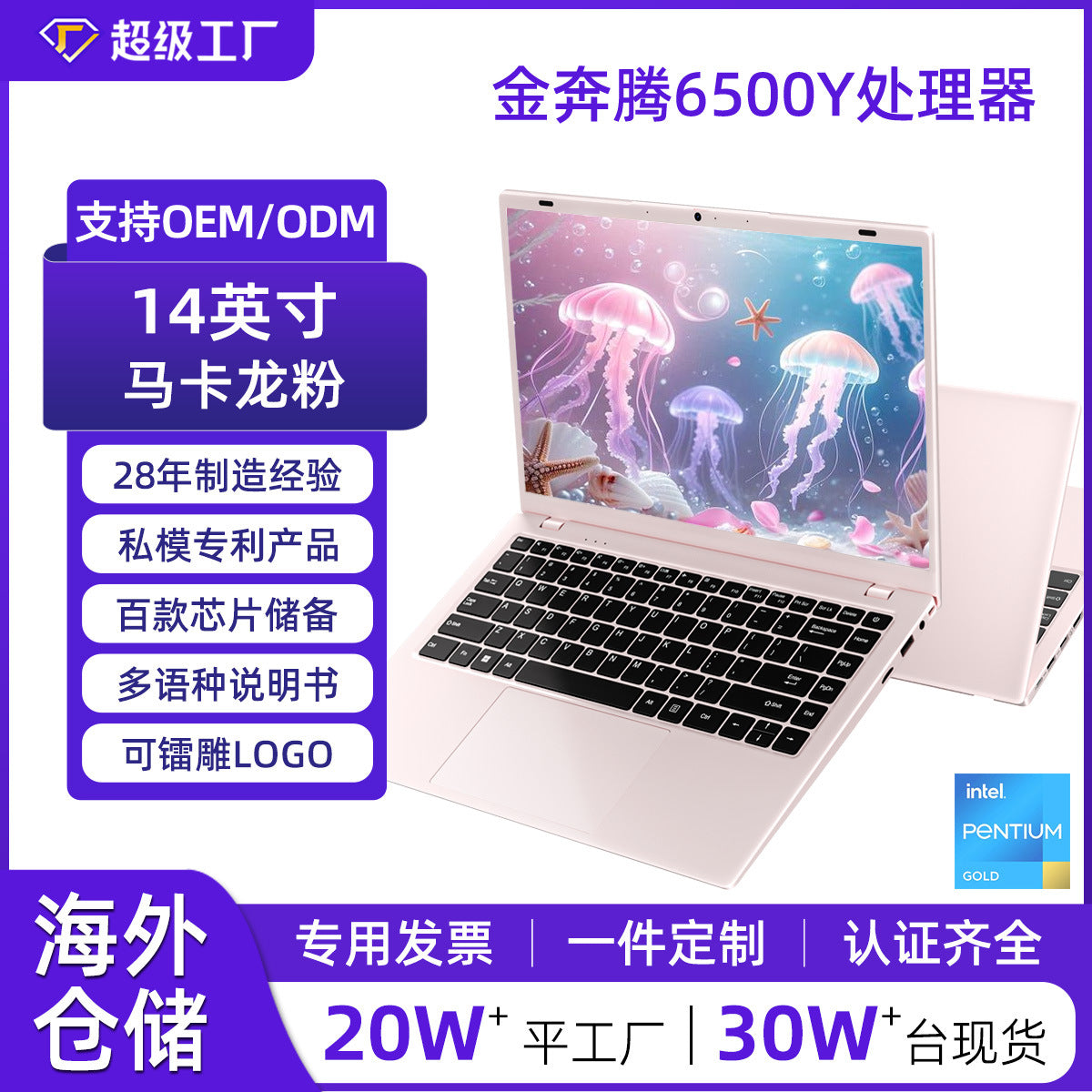 Laptop (thin and light business book)