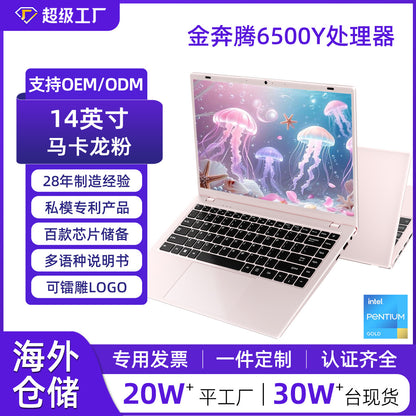 Laptop (thin and light business book)