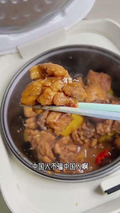 German brand Zemkom household smart rice cooker